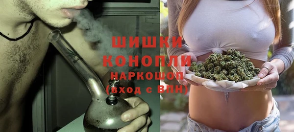 spice Гусь-Хрустальный