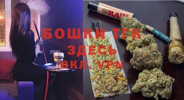 spice Гусь-Хрустальный