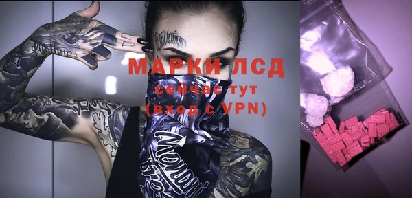 spice Гусь-Хрустальный